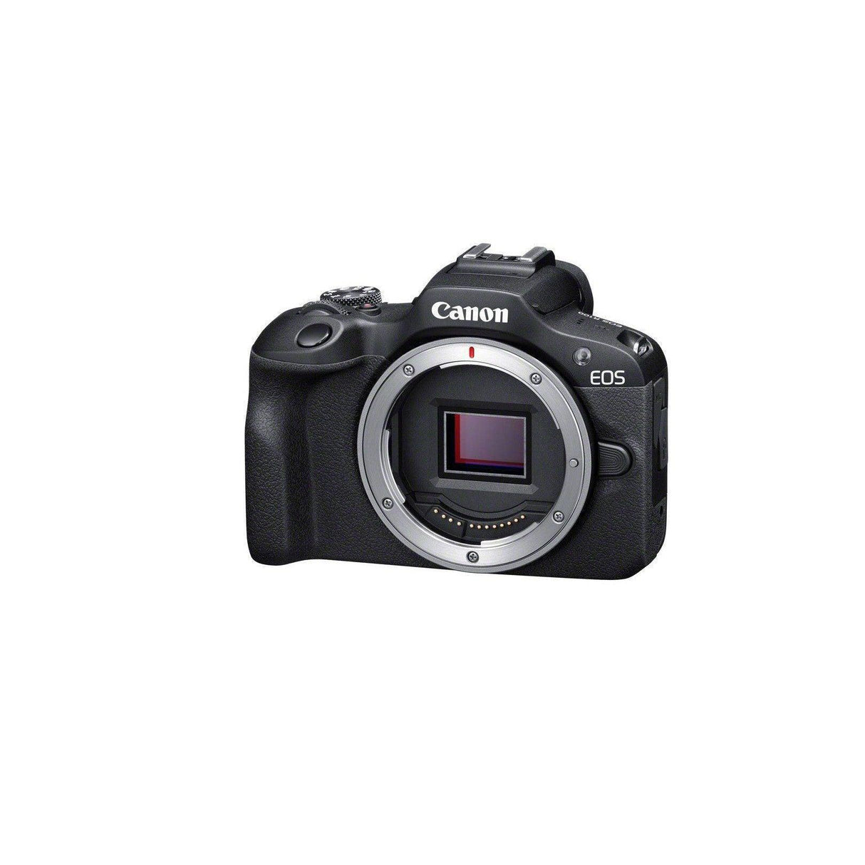 Canon EOS R100 with RF-S 18-45mm Lens