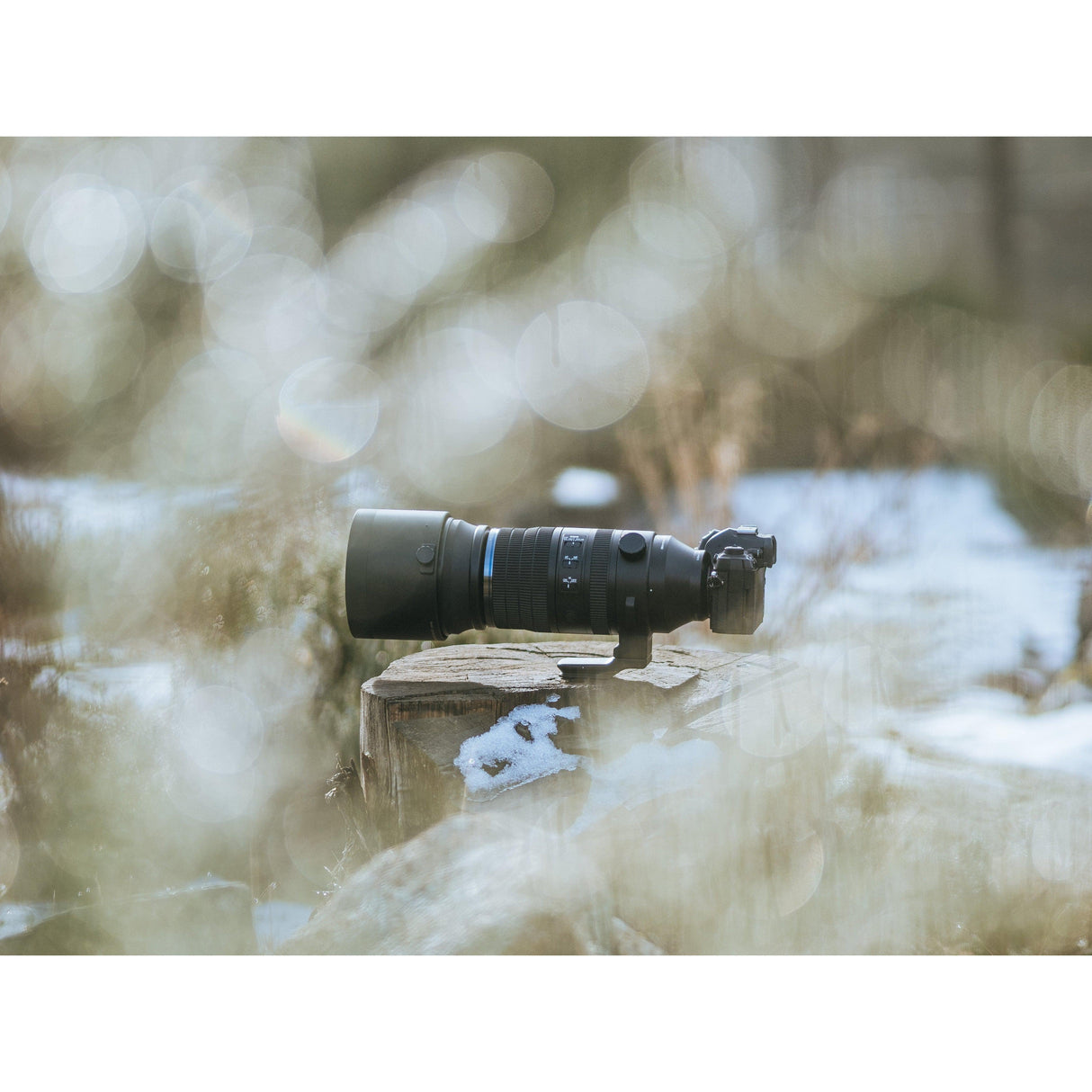 M.Zuiko Digital ED 150-600mm F5.0-6.3 IS