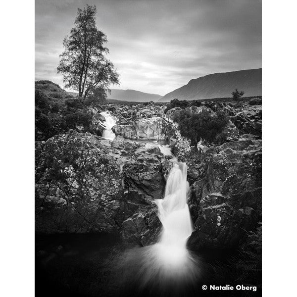 Ilford Ortho Plus 120 film