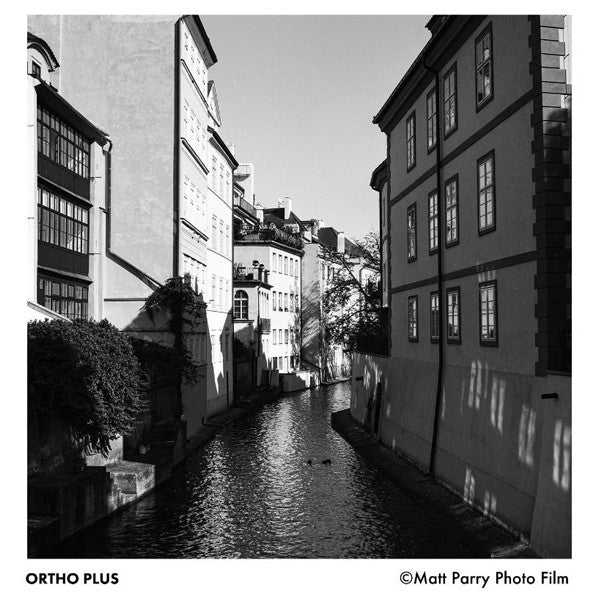 Ilford Ortho Plus 120 film