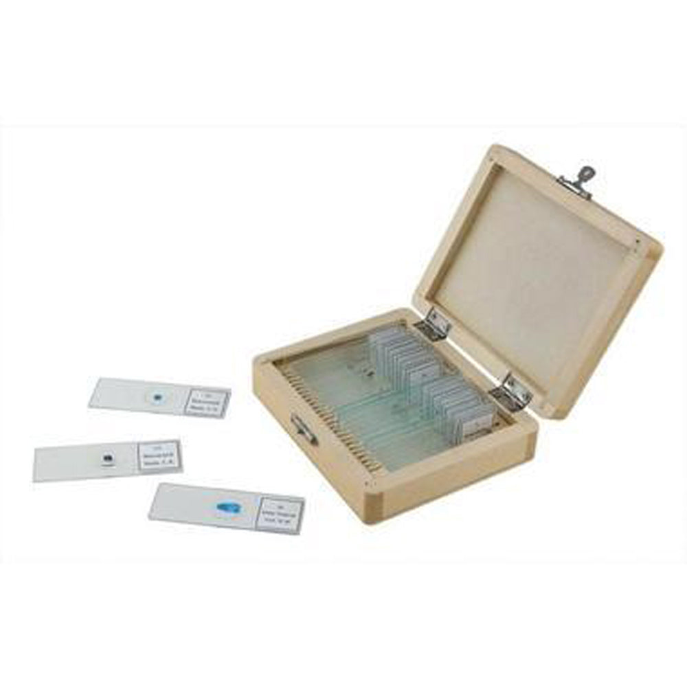 Celestron 25 Prepared Microscope Slides