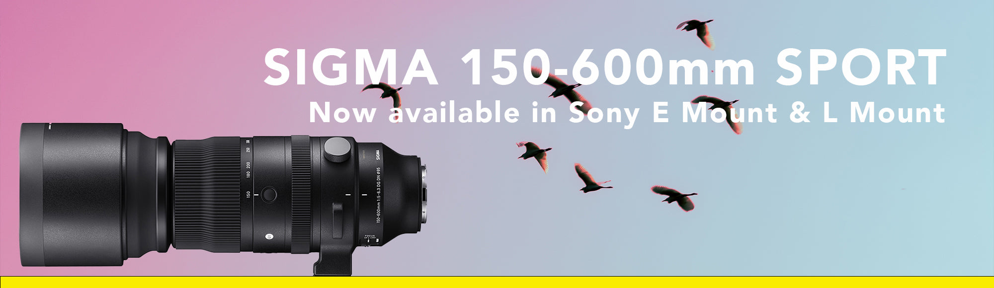 Sigma 150-600mm f5-6.3 Sports DG DN OS Lens