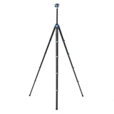 Benro CyanBird Carbon Tripod with G36PT Head