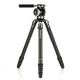 Benro Mammoth CF Tripod Kit with WH15 head