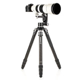 Benro Mammoth Series 4 Carbon Fibre 4 Section Tripod