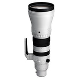 Sigma 300-600mm F4 DG OS Sports - Sony E Mount