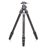 Benro Tortoise 14C Tripod with GX25 Head Kit