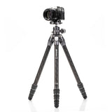 Benro Tortoise 14C Tripod with GX25 Head Kit