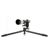 Benro Mammoth Series 4 Carbon Fibre 4 Section Tripod