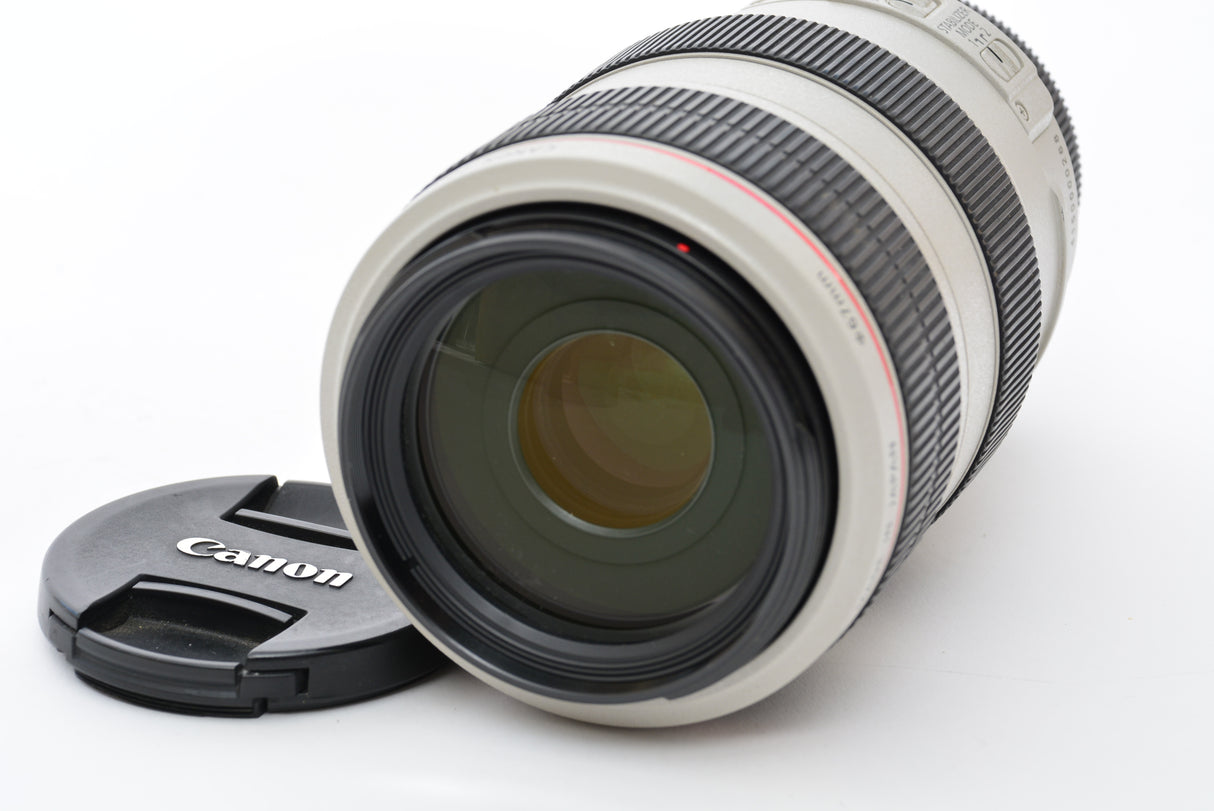 Used Canon EF 70-300mm f/4-5.6 L IS USM Zoom Lens