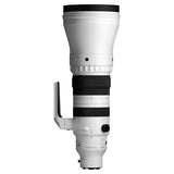 Sigma 300-600mm F4 DG OS Sports - Sony E Mount