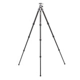 Benro Tortoise 14C Tripod with GX25 Head Kit