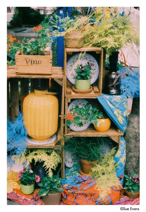 Harman Phoenix II 200 135-36 Film