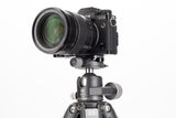 Benro GX35 Low Profile Ball Head PU56 Plate