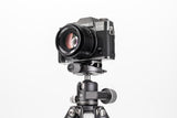 Benro GX25 Low Profile Ball Head PU56 Plate