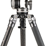 Benro Mammoth CF Tripod Kit with WH15 head