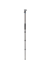 Benro Travel Angel Kit S1 Carbon 4 Section V0 Ball Head