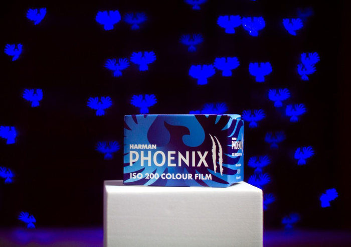 Harman Phoenix II 200 135-36 Film