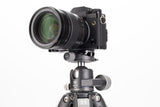 Benro VX25 Ball Head with PU50X Plate