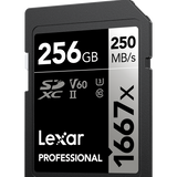Lexar SDXC UHS-II - Pro Silver Series - V60 1667x 250MB/s - 256GB