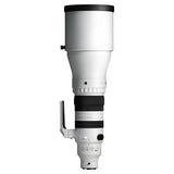 Sigma 300-600mm F4 DG OS Sports - L Mount