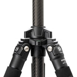 Benro Induro CLT204 2 Series Classic Carbon Fibre Tripod