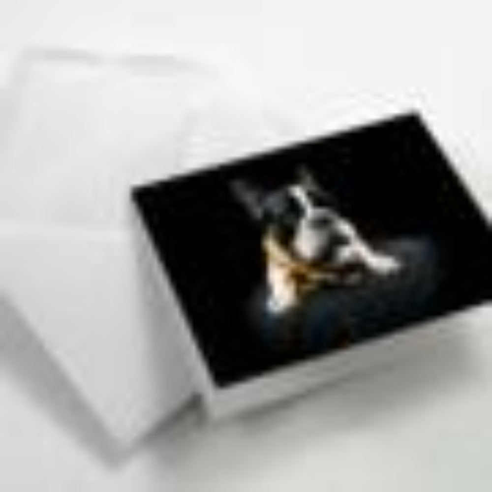 Fotospeed Fotocards Platinum Gloss 290 - A6 - 20 Cards