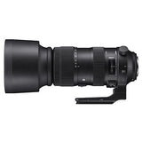 Sigma 60-600mm f4.5-6.3 Sport DG OS HSM Lens - Nikon F Mount