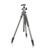 Vanguard Alta PRO 2+ 263AB 100 Tripod and Ball Head Kit