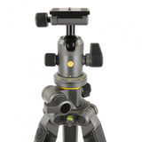Vanguard Alta PRO 2+ 263AB 100 Tripod and Ball Head Kit