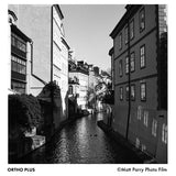 Ilford Ortho Plus 120 film