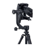 Dorr GL-25 Aluminium Gimbal Head