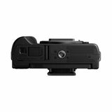 Panasonic Lumix G100 Digital Camera Body
