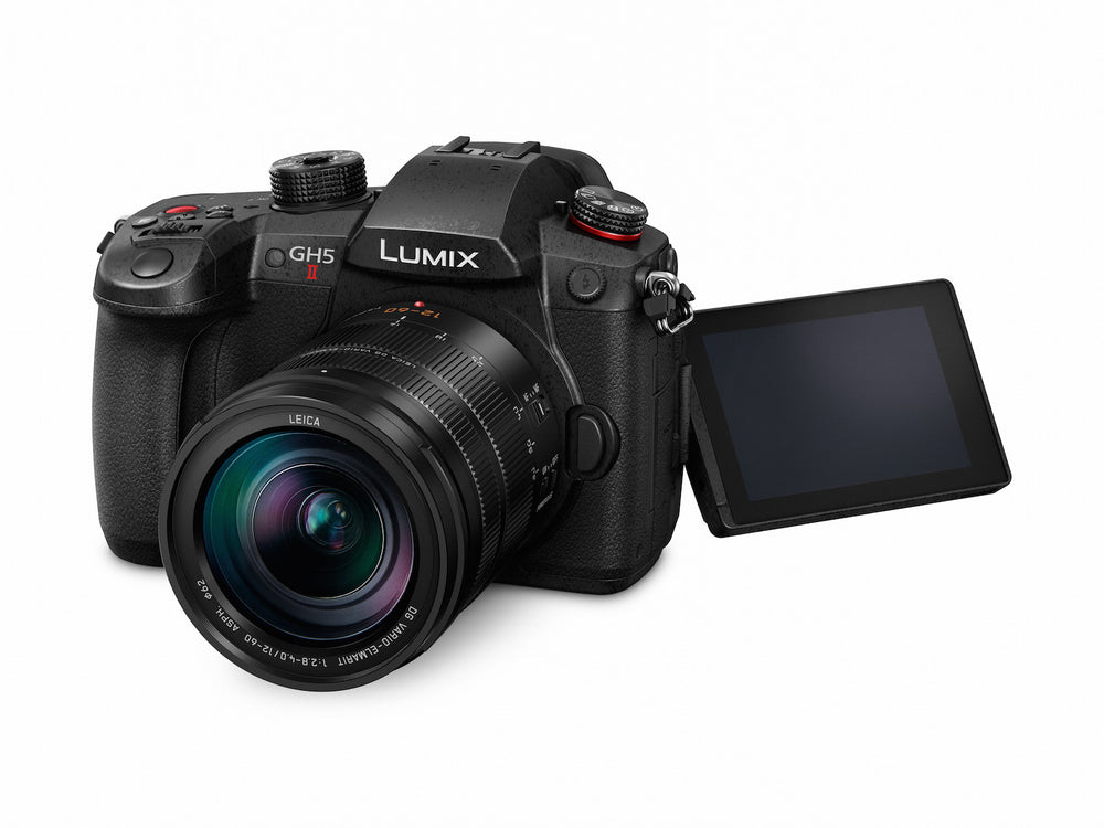 Panasonic GH5 MKII with Leica 12-60mm