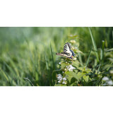 Samyang AF 45mm f1.8 Lens - Sony E Mount