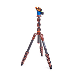 3LT Albert Pro 2.0 & AirHed Pro Bronze
