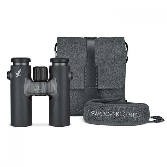 Swarovski CL Companion 8x30 Anthracite Binoculars With Northern Lights Pack