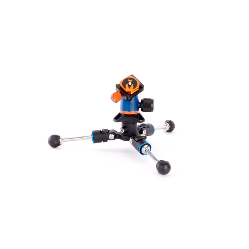 3LT Punks Corey with Airhed Neo Blue – Cambrian Photography