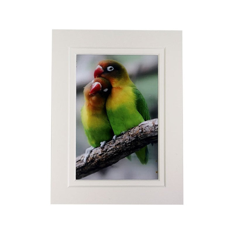 Double Core Mounts - Polar White - A4 to fit 11.x14 frame